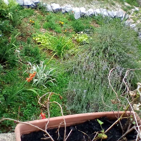 Oaza דירה Čavle