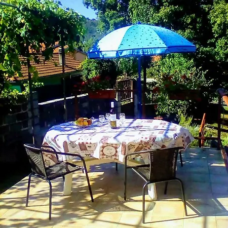 Oaza Apartment *
